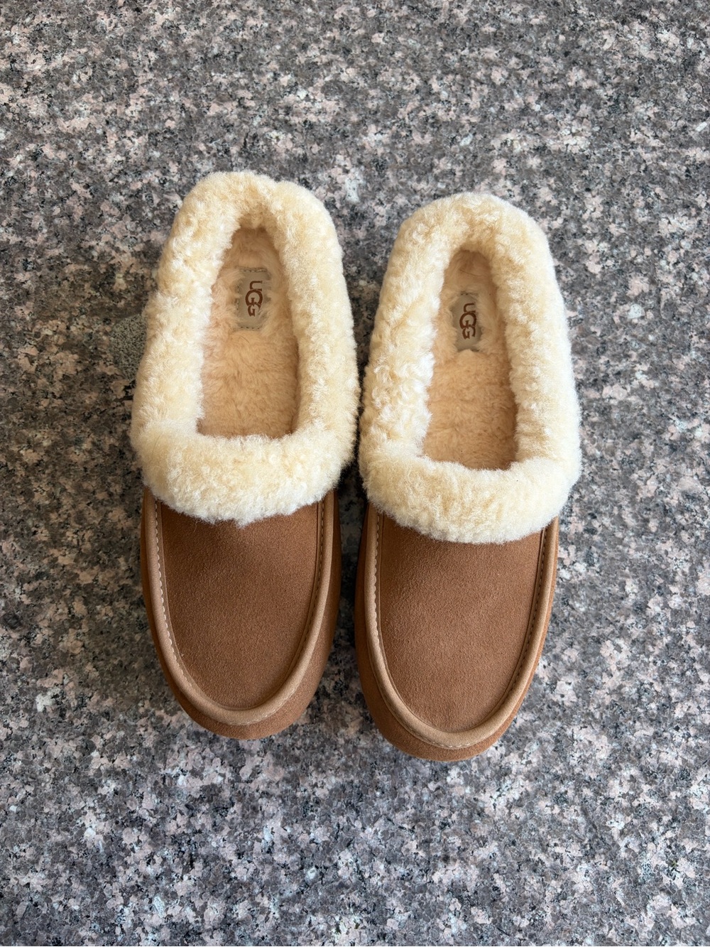 UGG Ansley Mule in Chestnut
